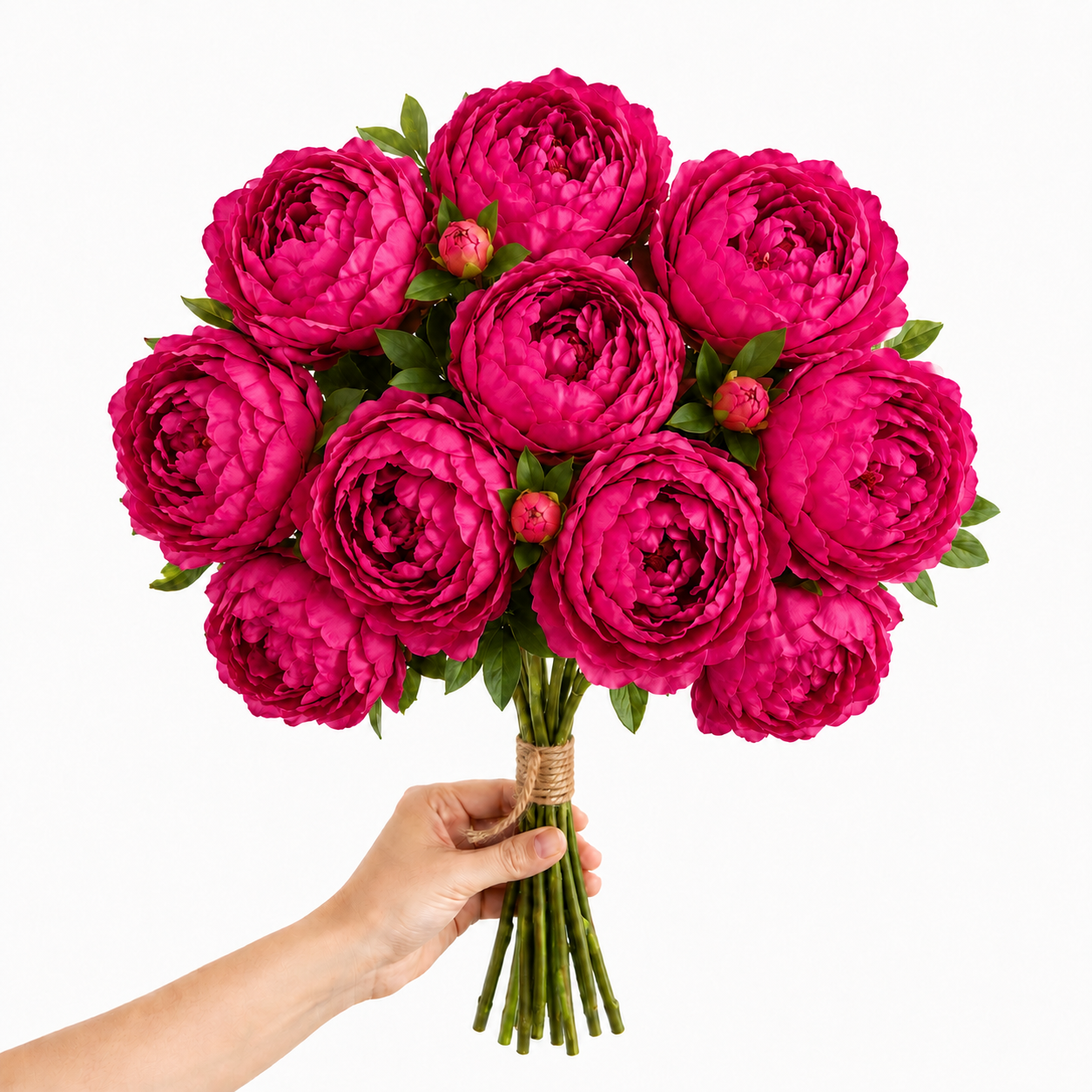 Artificial Peonies - Set of 10