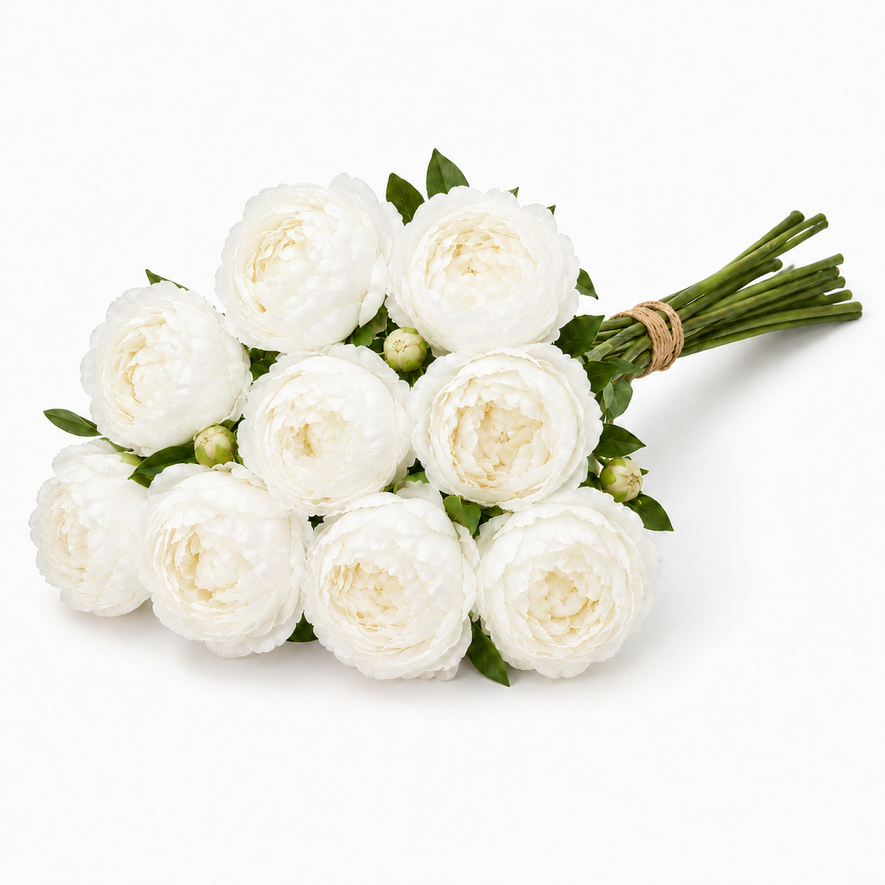 Artificial Peonies - Set of 10