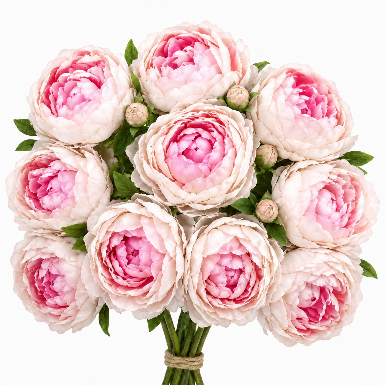 Artificial Peonies - Set of 10