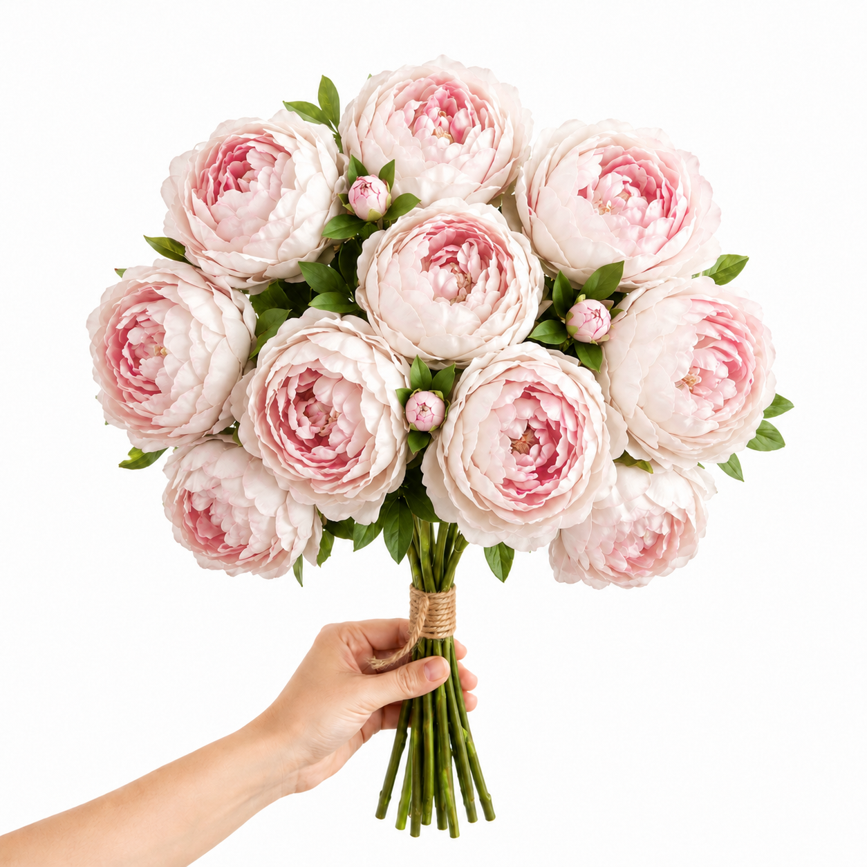 Artificial Peonies - Set of 10