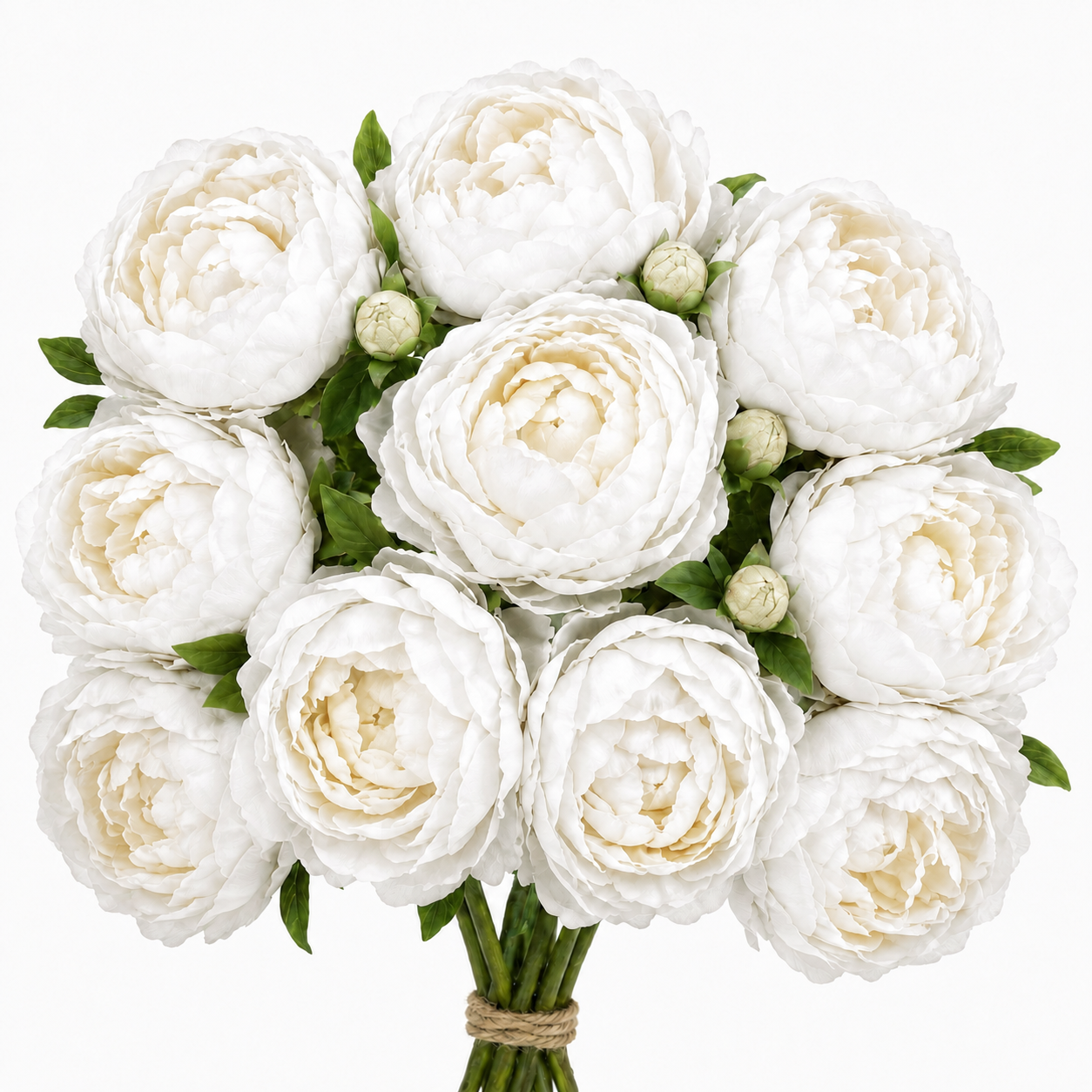 Artificial Peonies - Set of 10