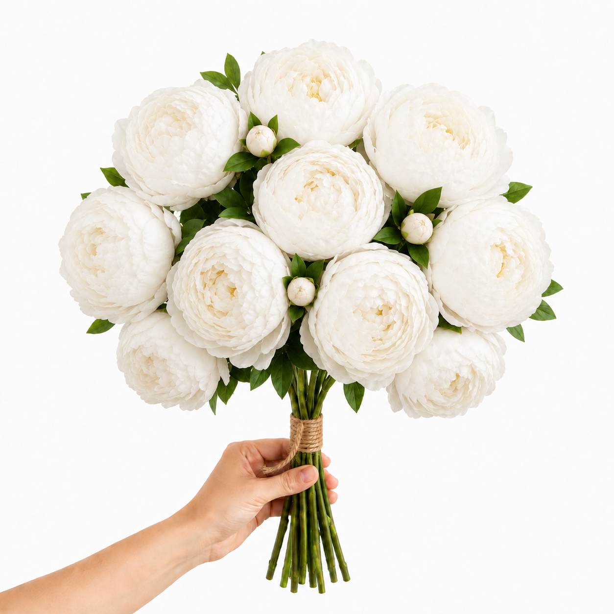 Artificial Peonies - Set of 10